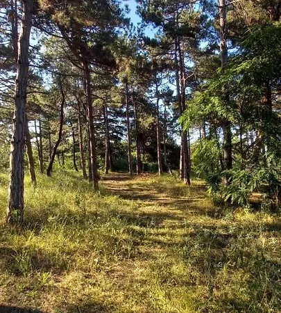 Lejlighed уютные 2-х комнатные Pomorie