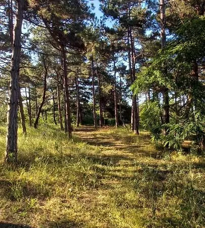 Apartment уютные 2-х комнатные Pomorie